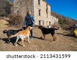 Small photo of January 24th 2022 - La rochette, france - Female hiker with her dogs hiking the French Alps