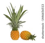 Small photo of Pineapple has a yellow pulp, sweet and sour taste. Contains Bromelain an enzymes that aids digest meat. Rich in vitamin C,B & dietary fiber. Processed into Jam, Canned juice, Dried and crystallized.