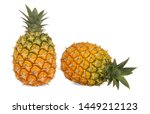 Small photo of Pineapple,sweet and sour taste. Contains Bromelain, an enzymes that aids digest meat. Rich in vitamin C B & dietary fiber. Processed into Jam, Canned pineapple juice, Dried and crystallized pineapple.