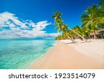 Palm trees on the tropical beach, Dominican Republic, Punta Cana, Saona Island