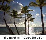 Coconut palm tress on background os sea and blue sky with clouds. Morning on Carribbean tropical beach, paradise island
