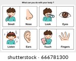 body function smell  look ... | Shutterstock .eps vector #666781300
