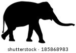 Silhouette Of A Elephant On...