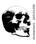 skull on white background | Shutterstock .eps vector #265131200