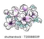 ink  pencil  watercolor flower... | Shutterstock .eps vector #720088039