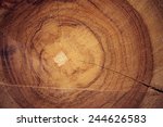 Wood Texture Of Cut Tree Trunk  ...