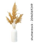 Grass Pampas Vase Isolated....