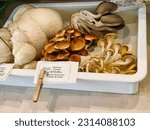 Small photo of Petaluma, California, USA - May 25th, 2023: Expensive mushrooms on sale at a local market.