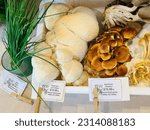 Small photo of Petaluma, California, USA - May 25th, 2023: Expensive mushrooms on sale at a local market.