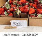 Small photo of Petaluma, California, USA - May 25th, 2023:Strawberry Albion strawberries for sale at a local farmers market.