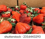 Small photo of Petaluma, California, USA - May 25th, 2023:Strawberry Albion strawberries for sale at a local farmers market.