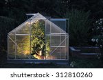 Greenhouse In The Night