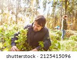 Small photo of Forester or conservationist plants an oak tree in the forest for sustainability and climate protection