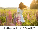 Beautiful woman in white sundress enjoying the summer nature. Picking flowers, breathing fresh air and floral scent, running and whirling in sunny field of lupins. Happiness concept