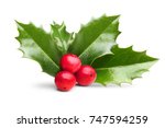 Holly leaves decoration with...