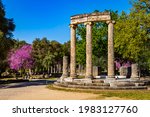 The ruins of Ancient Olympia with blooming cercis tree. Greece.