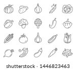 vegetable thin line icon set.... | Shutterstock .eps vector #1446823463