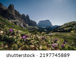 Summer alpine landscape of Dolomites. View of Sassolungo (Langkofel) from Gardena pass. Rocky Dolomiti landscape in summer. South Tyrol, Italy.
