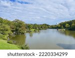 Small photo of Scenery of Japanese garden in autumn that has begun to change colors at Osaka pref.