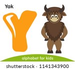 Yellow Letter Y And Brown Yak....