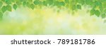 vector green leaves border on... | Shutterstock .eps vector #789181786