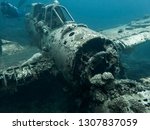 Jake seaplane wreck from World War 2 sits on ocean floor with diver swimming by in Palau.