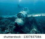 Jake Seaplane wreck from World War 2 sits on ocean floor underwater in Palau, Micronesia.
