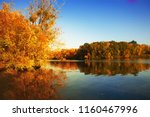 Golden Autumn Trees And Lake....