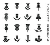 Thistle Icons Set Simple Vector....