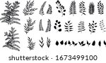 set of vector black silhouettes ... | Shutterstock .eps vector #1673499100