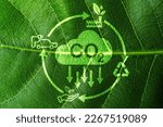 Small photo of CO2 reducing icon on green leaf with circular for decrease CO2 , carbon footprint and carbon credit to limit global warming from climate change, Bio Circular Green Economy concept.