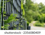 Small photo of pattern with metal fences and green needless copy space