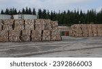 Small photo of cardboard balls, environment, old paper cardboard, paper mill, recycle, shredded paper, spoilage, stack of paper brown, carton factory, garbage, industrial stacks, Balikesir, turkey 29.09.23