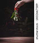 A hand holding mistletoe over christmas tree with place for your text