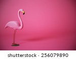  Pink Flamingo In Studio