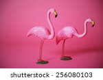Two  Pink Flamingos In Studio