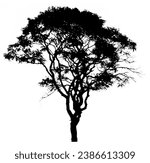Black silhouette of a real tree ...