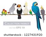 parrots. set isolated birds on... | Shutterstock .eps vector #1227431920