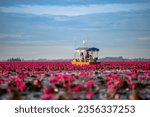 Small photo of A Boat tour bringing tourist visit Red lotus sea (Talay Bua Daeng) at Kumprawapi in Udonthani,Thailand.