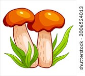 Edible Mushrooms. Two Orange...