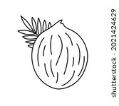 coconut. fruit sketch. black... | Shutterstock .eps vector #2021424629