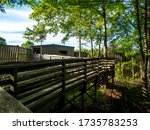 boardwalk path and lookout in the forest in the national wildlife refugee in late spring