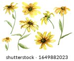 Set Of Yellow Daisies With...