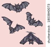 bat  bat in flight  in motion ... | Shutterstock .eps vector #1803840073