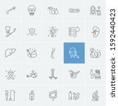 anatomy icons set with pancreas ... | Shutterstock . vector #1592440423