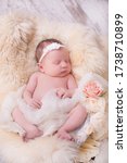 Small photo of A portrait of a beautiful, seven day old, newborn baby girl wearing a large, fabric rose headband. She is swaddled with gauzy fabric and sleeping in a wire basket.