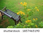 Small photo of Empty Wroth Iron Bench in the Light Rain with Blurry Yellow Trumpet Flowers in the Foreground