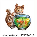 Ginger Cat Watching Goldfish In ...