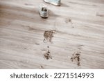 Small photo of A trail of dirty on the floor indoors. Daily life dirty stain. High quality photo