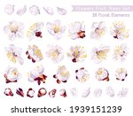 big set of spring flowers ... | Shutterstock .eps vector #1939151239